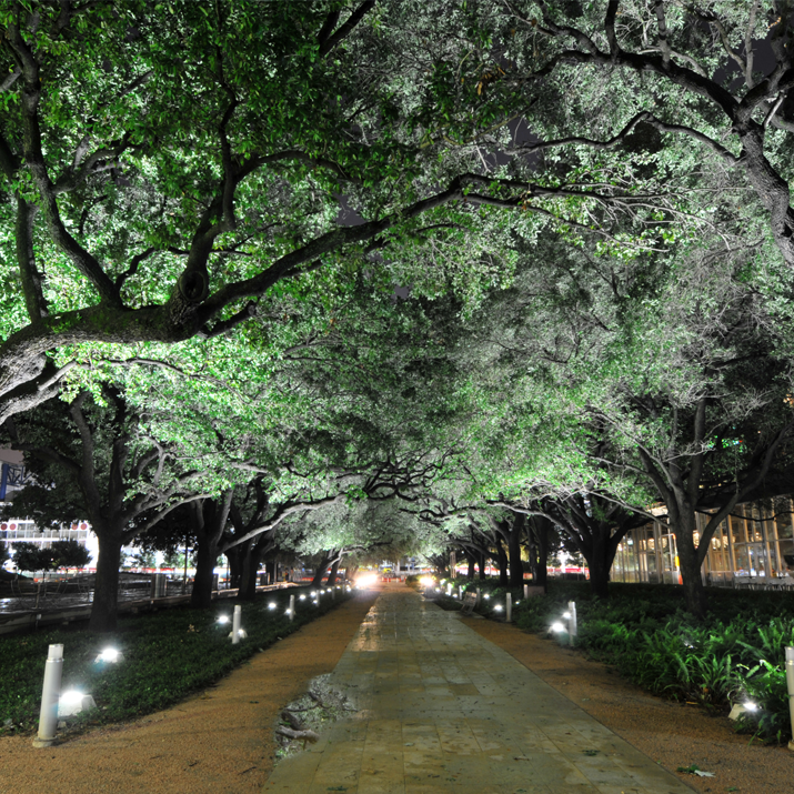 discovery green promenade